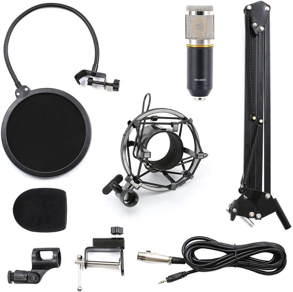 Kit de radio de studio de microphone à condensateur professionnel LYPULIGHT BM-800 avec bras de montage pour l'audio