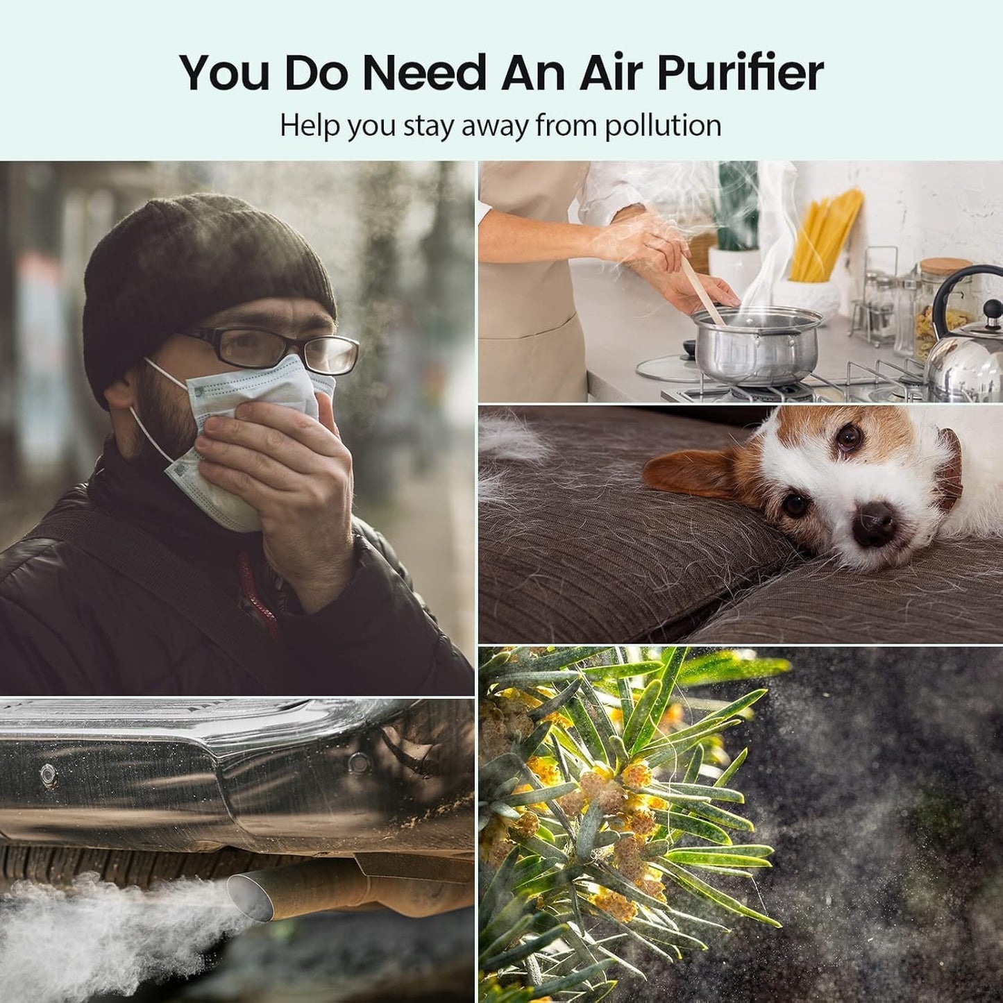 Afloia Luftreiniger für Zuhause Schlafzimmer, Ture Filtres haute efficacité, 360°