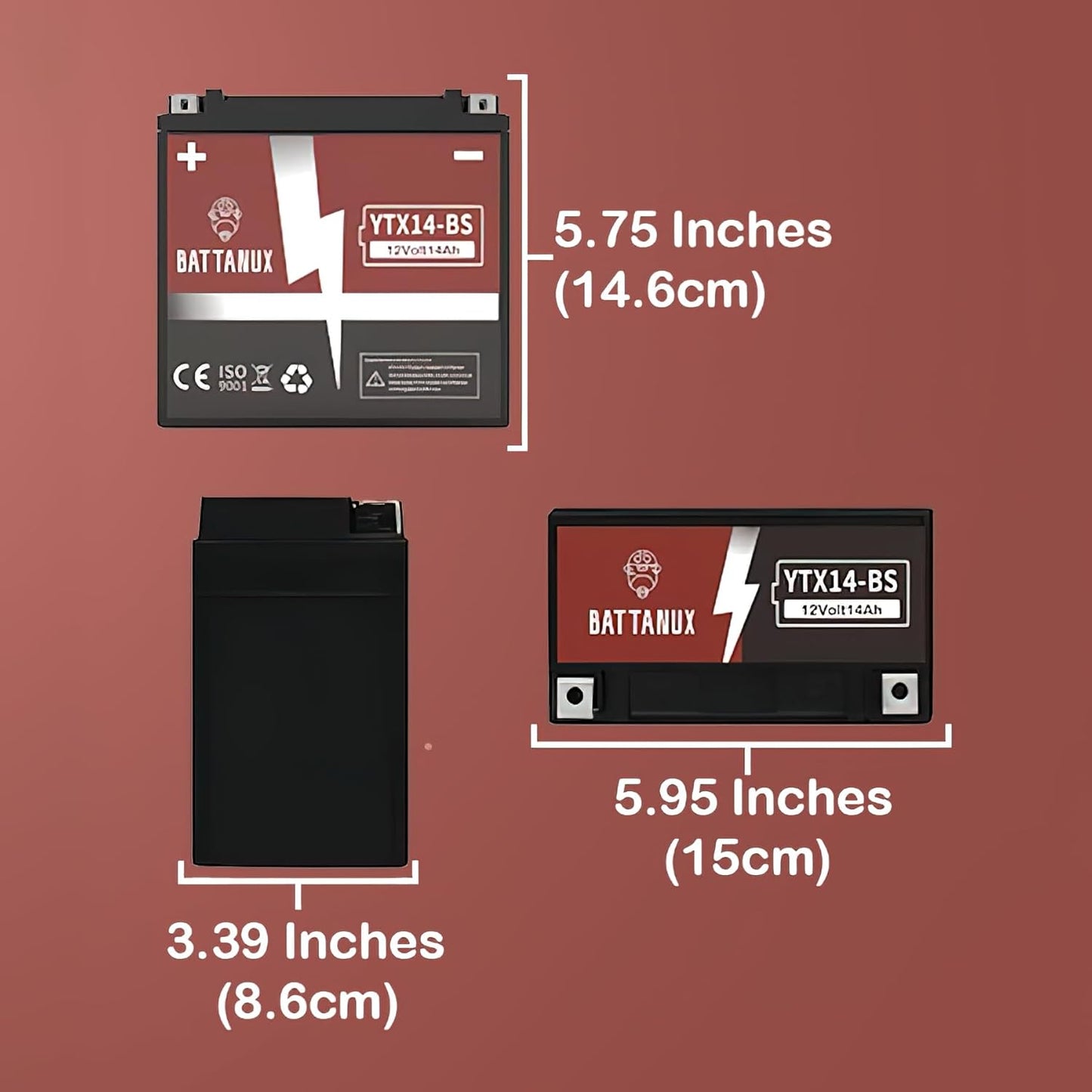 Battanux YTX14-BS Batterie & Motorradbatterie, 12V14Ah versiegelte SLA/AGM