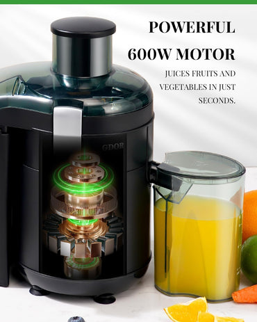GDOR Entsafter, 600 W Entsaftermaschinen mit 65 mm Einfüllschacht für Obst und Gemüs