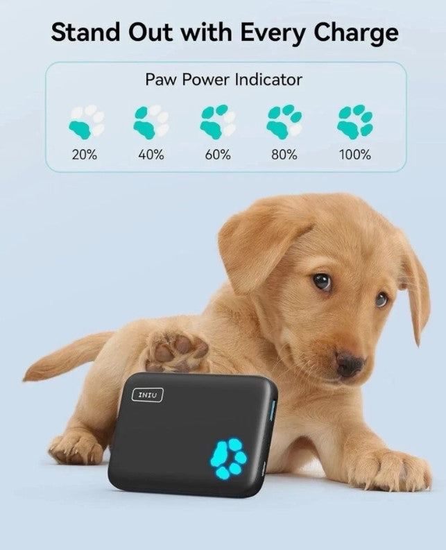 INIU Magsafe Power Bank 10000 mAh 20 W Magnetisches Schnelles Ladegerät
