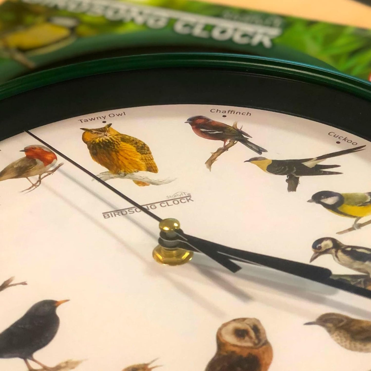 STARLYF Wanduhr mit Vogelstimmen mit echten Klängen von 12 verschiedenen Vögeln