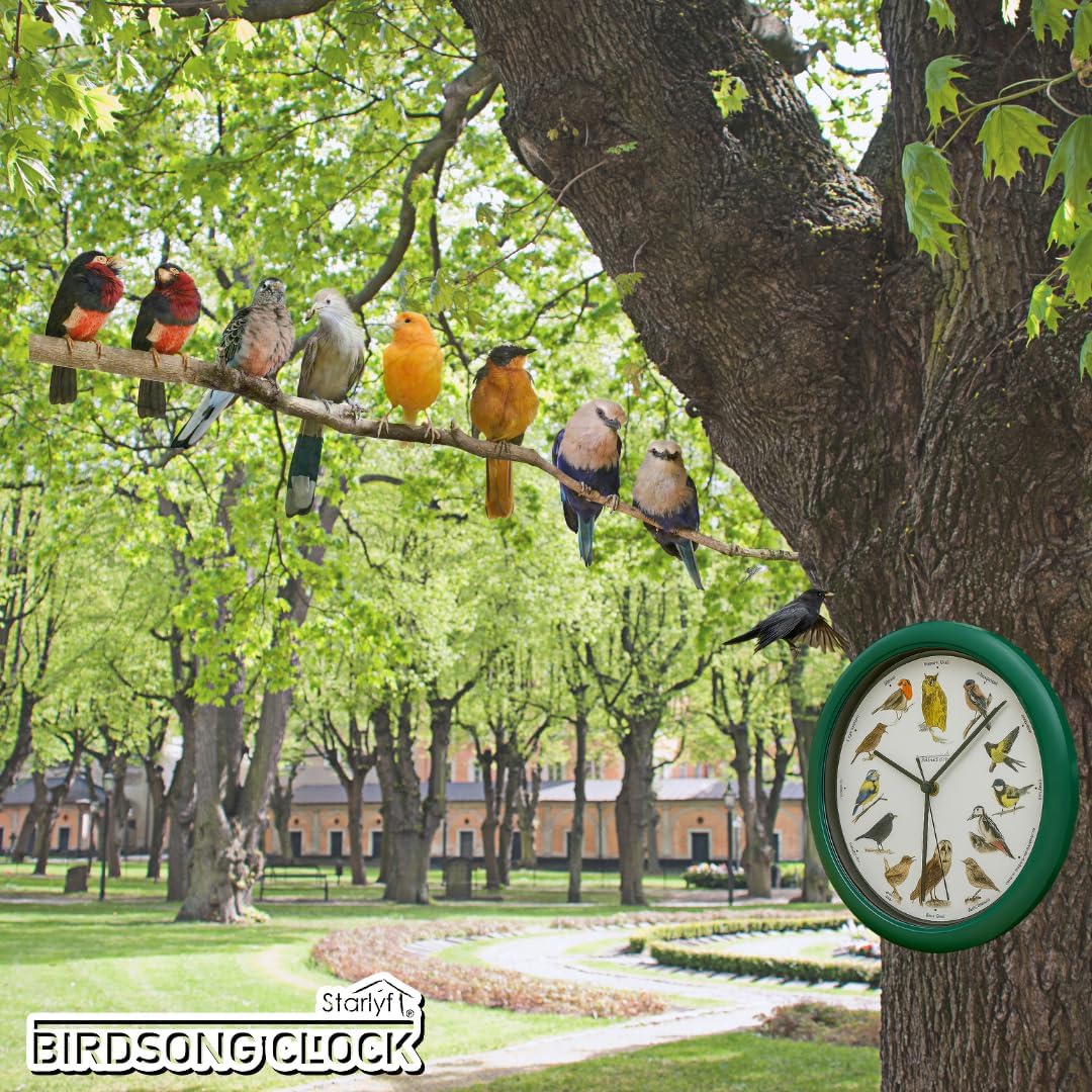 STARLYF Wanduhr mit Vogelstimmen mit echten Klängen von 12 verschiedenen Vögeln