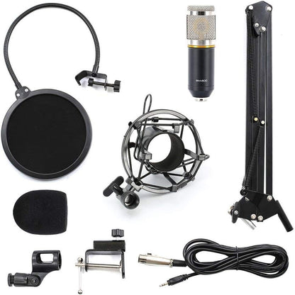 Kit de radio de studio de microphone à condensateur professionnel LYPULIGHT BM-800 avec bras de montage pour l'audio