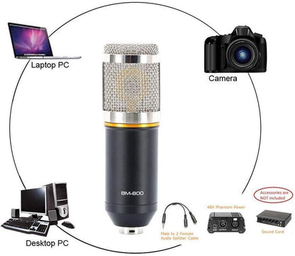 Kit de radio de studio de microphone à condensateur professionnel LYPULIGHT BM-800 avec bras de montage pour l'audio
