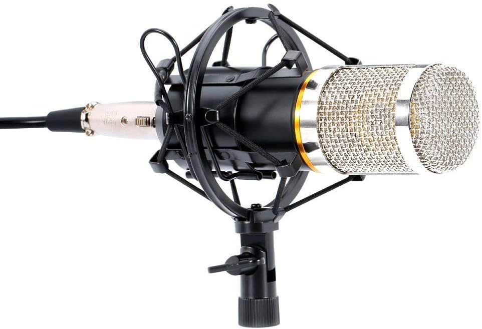 Kit de radio de studio de microphone à condensateur professionnel LYPULIGHT BM-800 avec bras de montage pour l'audio