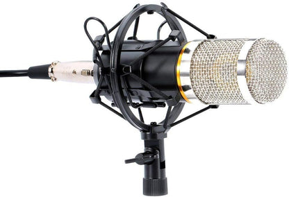 Kit de radio de studio de microphone à condensateur professionnel LYPULIGHT BM-800 avec bras de montage pour l'audio