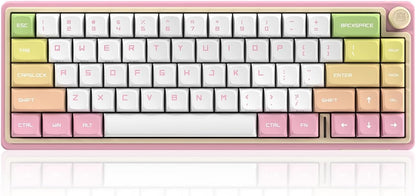 DUSTSILVER D66 Kabellose mechanische Tastatur – 2,4 G/Bluetooth/kabelgebunden, 1000 Hz Abfragegeschwindigkeit, Lautstärketaste, RGB-Hintergrundbeleuchtung, erstklassiges Spielerlebnis, Gateron-Rot-Schalter, Pfirsich-Design
