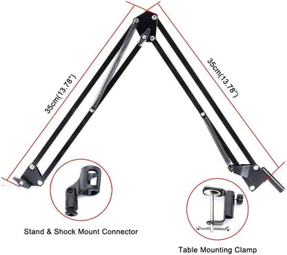 Kit de radio de studio de microphone à condensateur professionnel LYPULIGHT BM-800 avec bras de montage pour l'audio