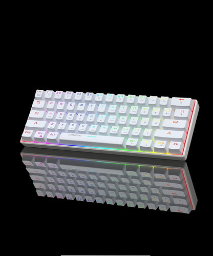 Lilhowcy Schnellster Tastaturschalter aller Zeiten – Optische Schalter – Chroma-RGB-Beleuchtung – PBT-Tastenkappen – Onboard-Speicher (weiß)