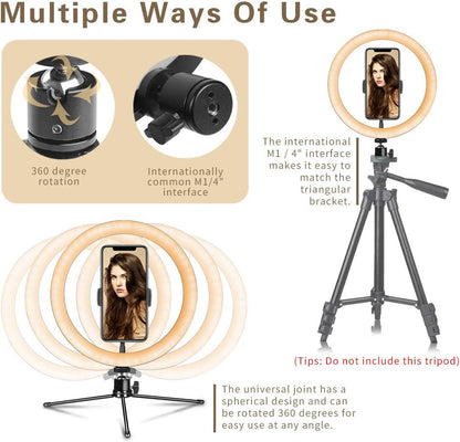 Ringlicht 10" mit Stativständer und Telefonhalter für YouTube-Video und Streaming, Schreibtisch-Make-up, LED-Ringlicht dimmbar für Fotobeleuchtung, Selfie mit 3 Lichtmodi und 10 Helligkeitsstufen (10")