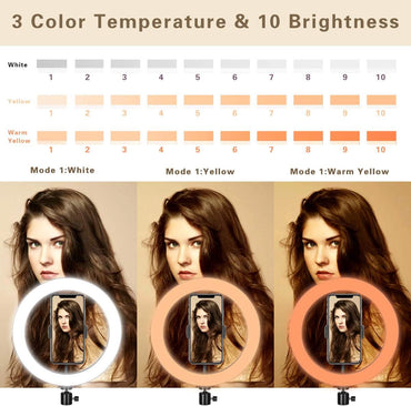 Ringlicht 10" mit Stativständer und Telefonhalter für YouTube-Video und Streaming, Schreibtisch-Make-up, LED-Ringlicht dimmbar für Fotobeleuchtung, Selfie mit 3 Lichtmodi und 10 Helligkeitsstufen (10")