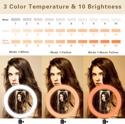 Ringlicht 10" mit Stativständer und Telefonhalter für YouTube-Video und Streaming, Schreibtisch-Make-up, LED-Ringlicht dimmbar für Fotobeleuchtung, Selfie mit 3 Lichtmodi und 10 Helligkeitsstufen (10")