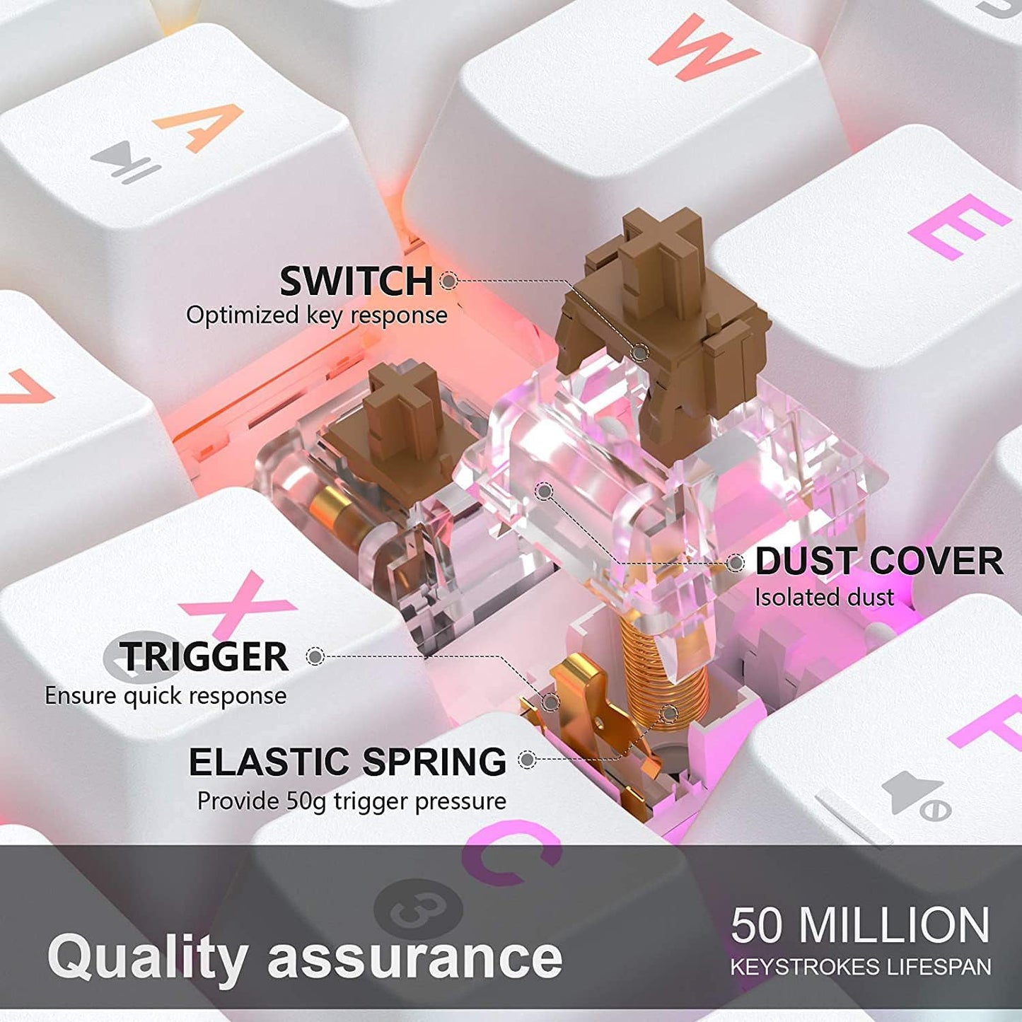 Lilhowcy Schnellster Tastaturschalter aller Zeiten – Optische Schalter – Chroma-RGB-Beleuchtung – PBT-Tastenkappen – Onboard-Speicher (weiß)
