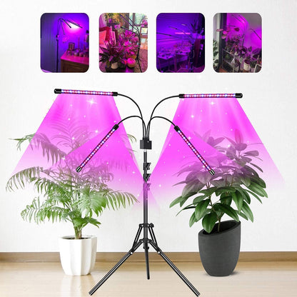 LEBANDWIT Plafonnier LED avec Pieds, Minuterie Automatique Ein-/Aus, Lampe de Surveillance à Spectre Complet, Pflanzenlichter für Zimmerpflanzen, Gartenarbeit avec 3 Modes d'éclairage, 10 Helligkeitstufen