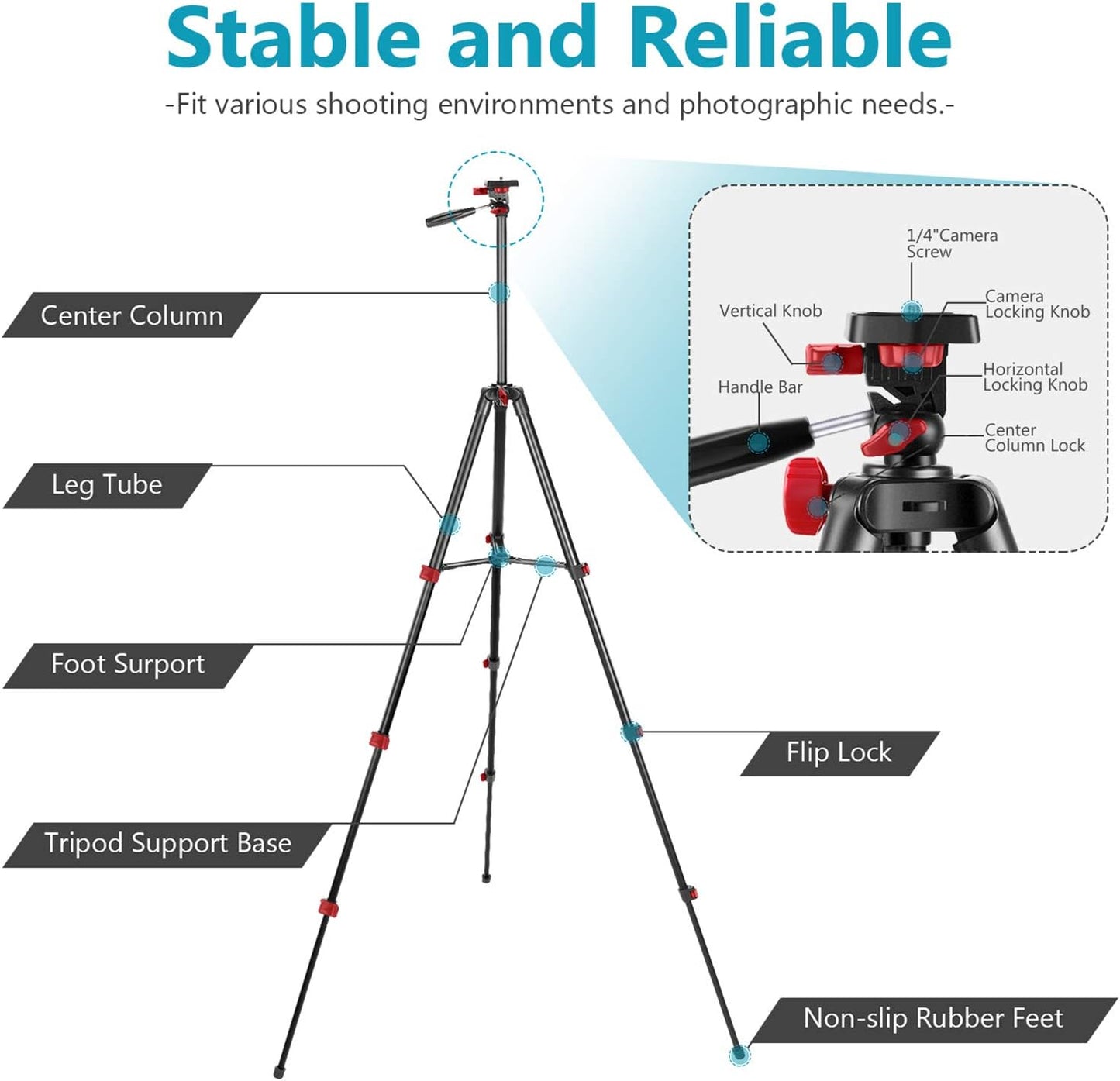 Neewer Anneau Lumineux LED 25,4 cm, Anneau Lumineux Selfie avec Support Statique, 3 Modes d'Éclairage, Anneau Lumineux à Intensité Variable avec Support Statique de 137,2 cm et Support Téléphone pour Streaming en Direct, Maquillage, Blog Vidéo YouTube