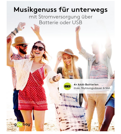 Goobay 95041 Enceinte stéréo 6 W pour TV, PC, Mac et ordinateur portable, barre de son USB 2 x 3 W, système audio avec amplificateur numérique et membrane de caisson de basses, noir