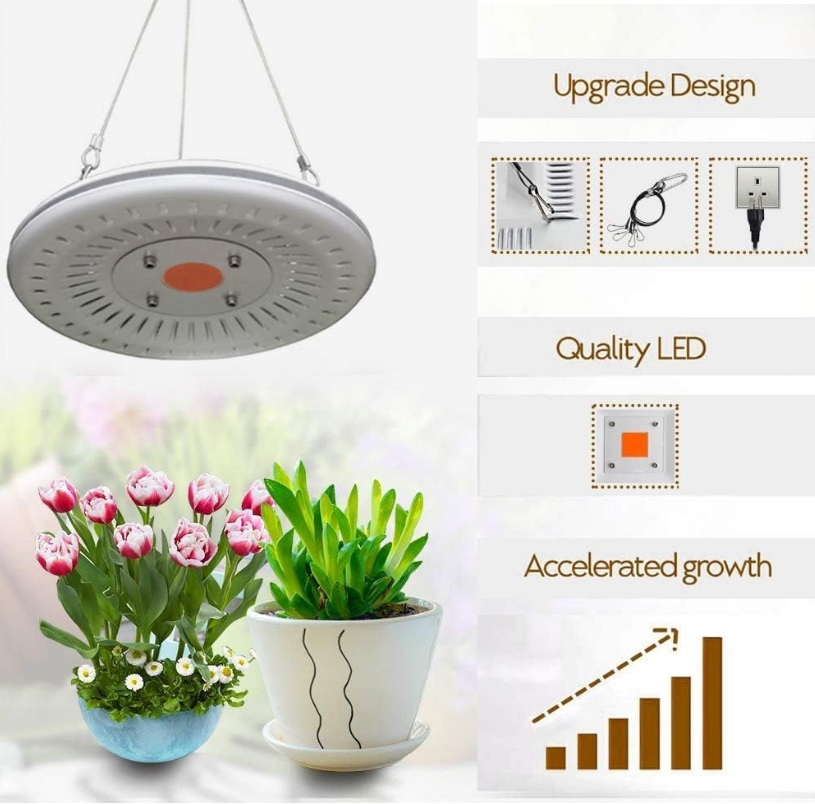 100W wasserdichte Pflanzenlampe LED, Pflanzenlicht Vollspektrum mit Schalter, Sonnenlicht Wachstumslicht Pflanzenlicht LED Wachstumslampe für Zimmerpflanzen Gartenarbeit Samen Gemüse Blumen Sukkulenten