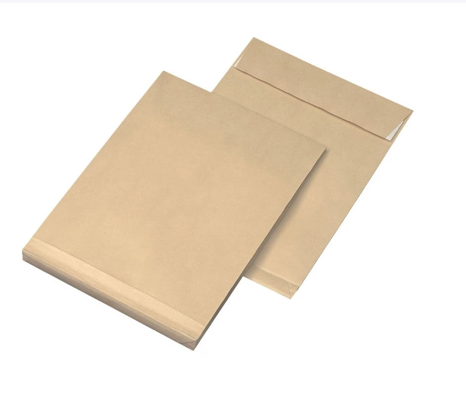 Mailmedia 100 Faltentaschen avec Steh-/Klotzboden 130 g/m² sans Fenster 
