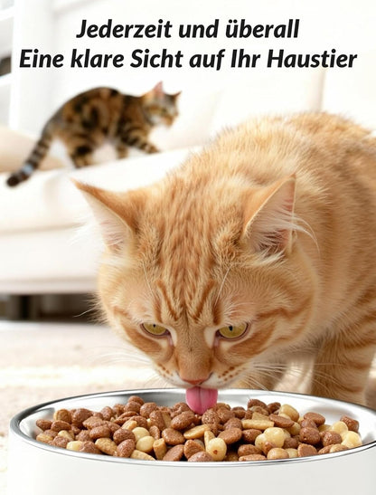 Apetdola Futterautomat Katze Mit Kamera, KI Futterautomat 5L, 1–6 Mahlzeiten