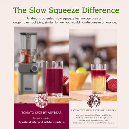 Anybear Entsafter 200W Slow Juicer mit 110 mm großem Einfüllschacht