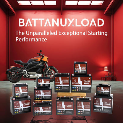 Battanux YTX14-BS Batterie & Motorradbatterie,  12V14Ah versiegelte SLA/AGM