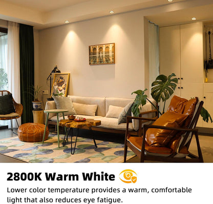 12er-Pack MR16 Halogenlampen, 2-polig, GU5.3, 12 V, 35 W, dimmbar, warmweiß (2700 K), 350 lm