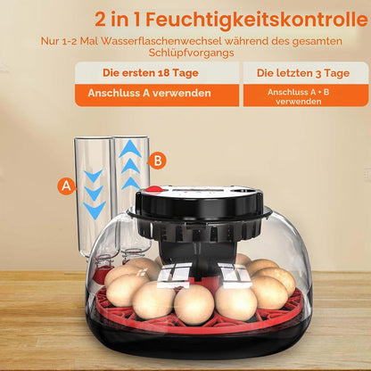 Brutautomat Vollautomatisch, Inkubator Hühner 12 Eier mit Automatische Wasserversorgung&Eierwender
