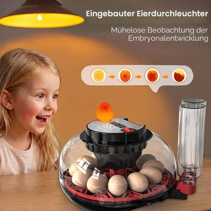 Brutautomat Vollautomatisch, Inkubator Hühner 12 Eier mit Automatische Wasserversorgung&Eierwender
