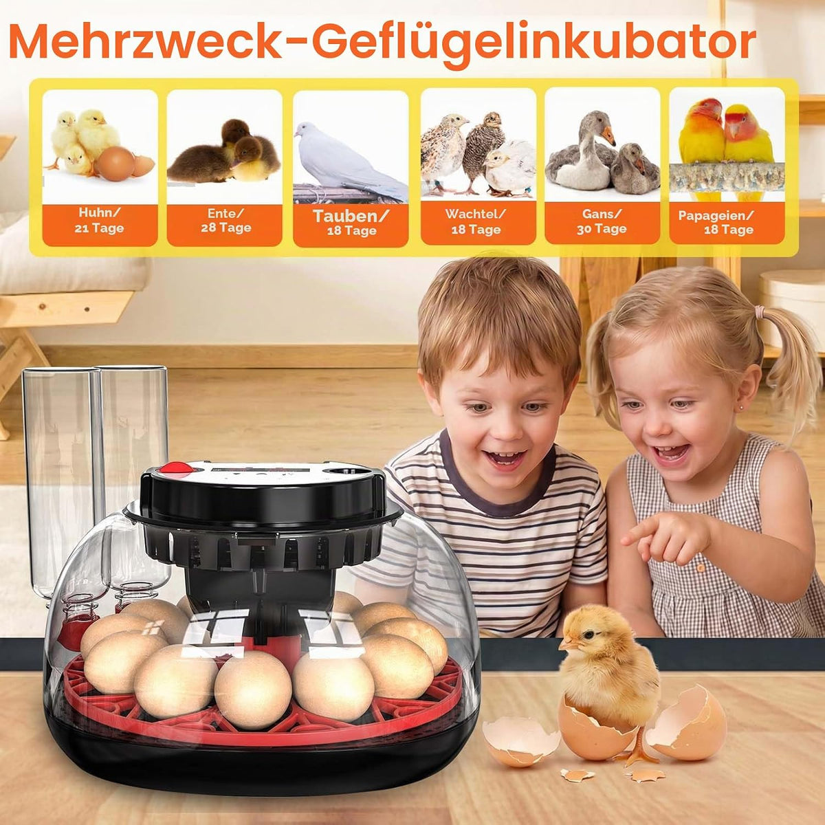 Brutautomat Vollautomatisch, Inkubator Hühner 12 Eier mit Automatische Wasserversorgung&Eierwender