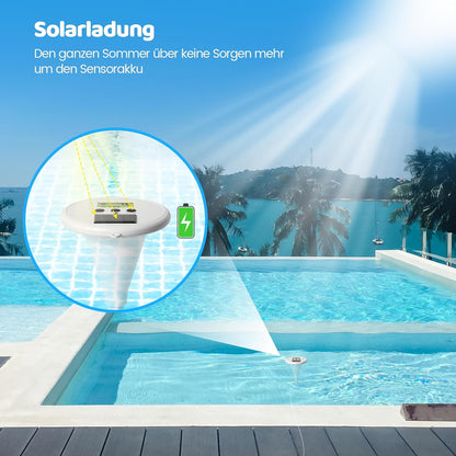 briidea Kabelloses Digitales Schwimmbad-Wasserprüfgerät Mit Zwei Displays