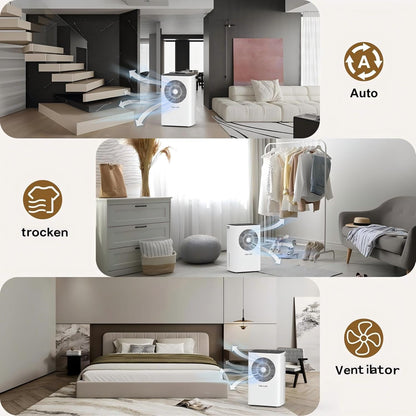 COLAZE Luftentfeuchter 12L/24h 30m² mit Automatischer Abtauung&Wasserfüllstand