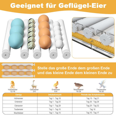 CoInceptus Brutautomat Vollautomatisch, Inkubator Hühner 12-16 Eier