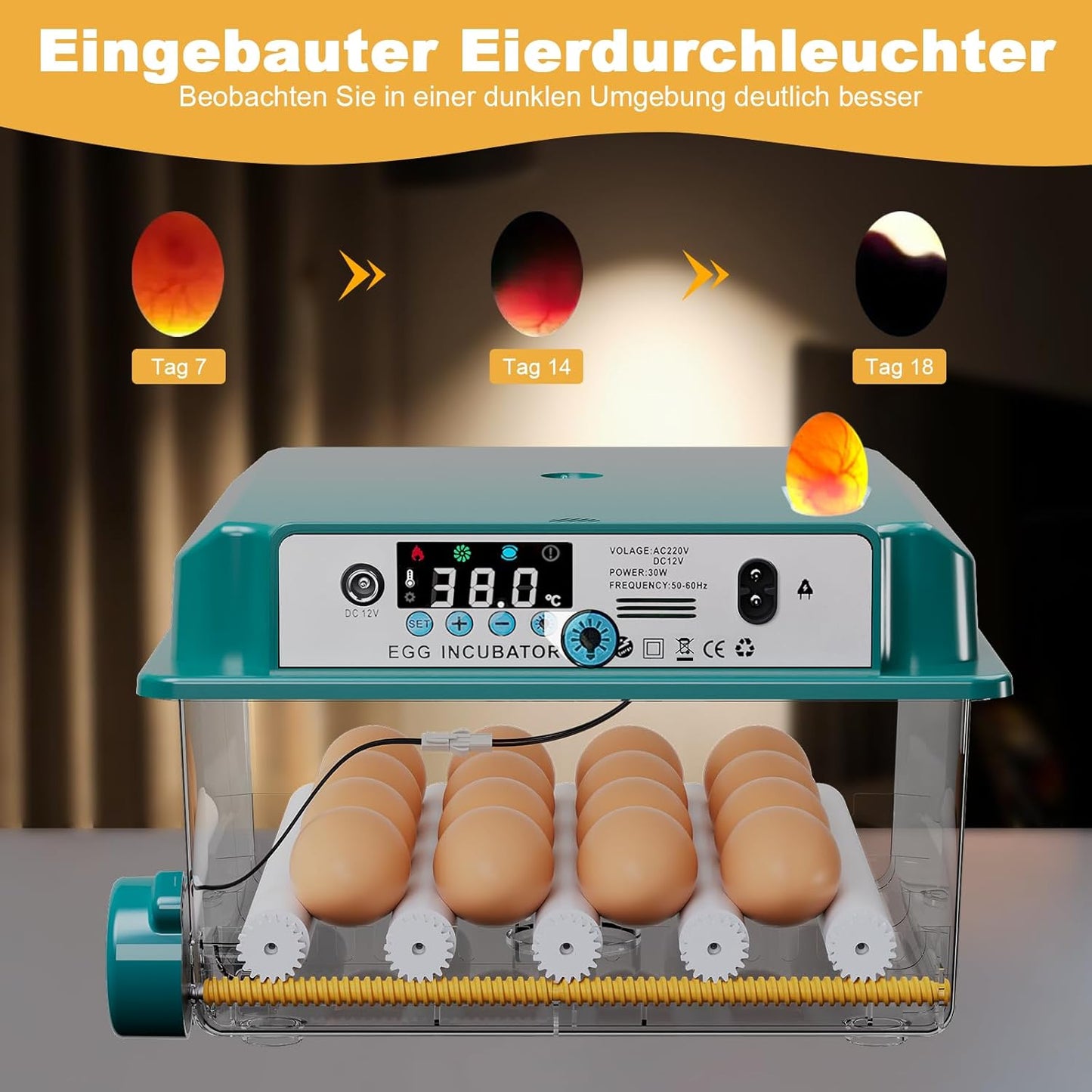 CoInceptus Brutautomat Vollautomatisch, Inkubator Hühner 12-16 Eier