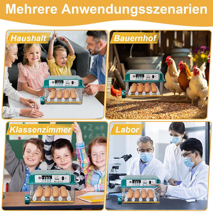 CoInceptus Brutautomat Vollautomatisch, Inkubator Hühner 12-16 Eier