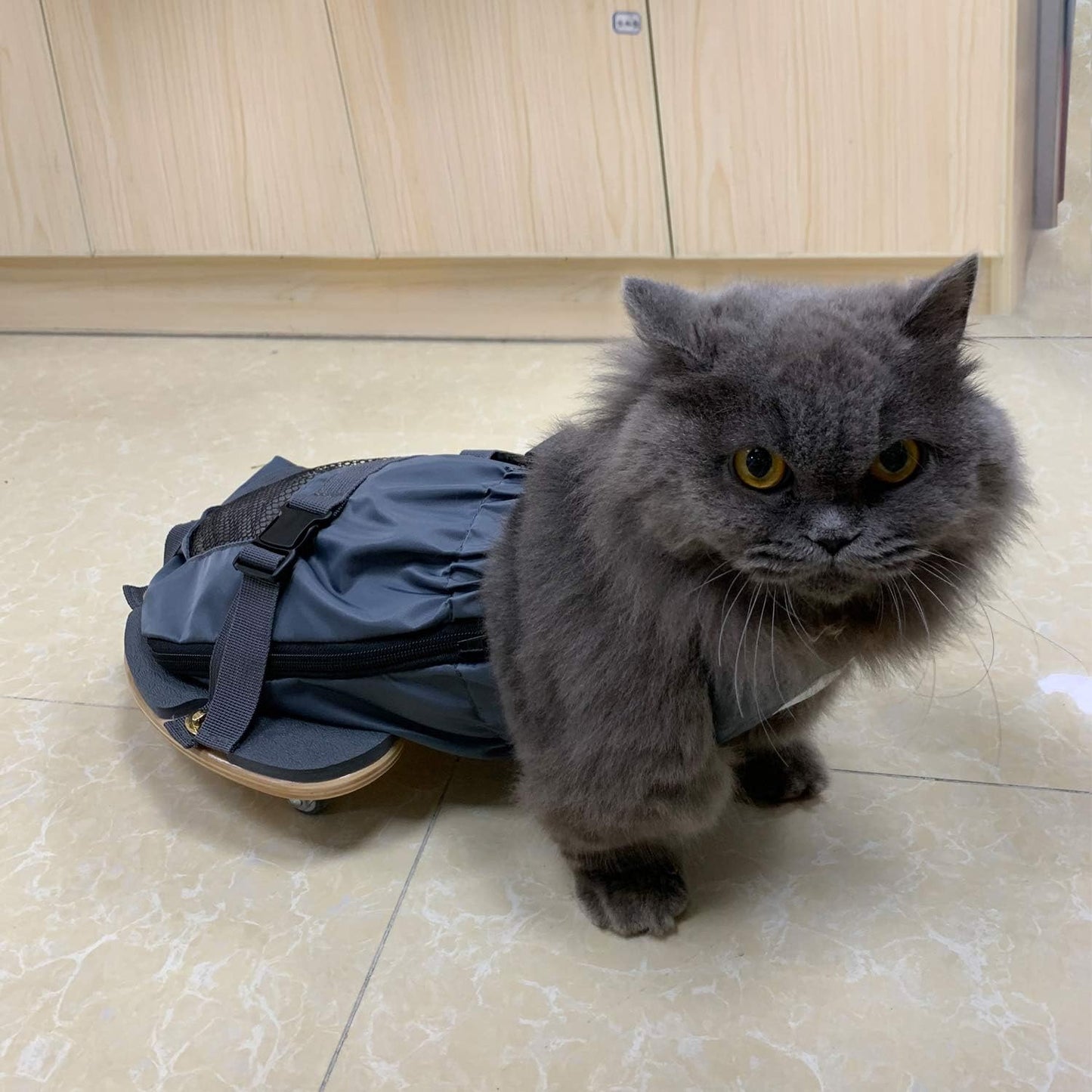 Deryep Rollstuhl für Hinterbeine, gelähmt und schützt Brust und Gliedmaßen