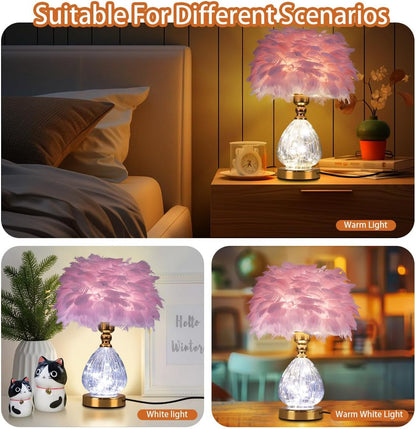 Federlampe- Led Tischlampe Nachttischlampen mit 3 Farben Dimmbare