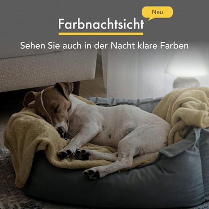 Furbo 360° Hundekamera Haustierkamera mit App, Rotierende 360° Sicht, Farbnachtsicht, Tracking, Leckerliwurf, Bell-Alarm