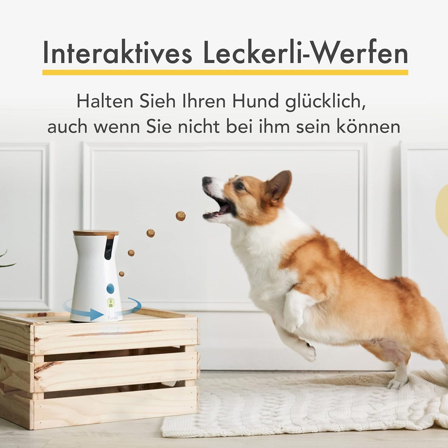 Furbo 360° Hundekamera Haustierkamera mit App, Rotierende 360° Sicht, Farbnachtsicht, Tracking, Leckerliwurf, Bell-Alarm
