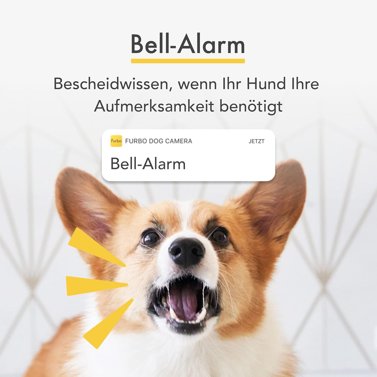 Furbo 360° Hundekamera Haustierkamera mit App, Rotierende 360° Sicht, Farbnachtsicht, Tracking, Leckerliwurf, Bell-Alarm