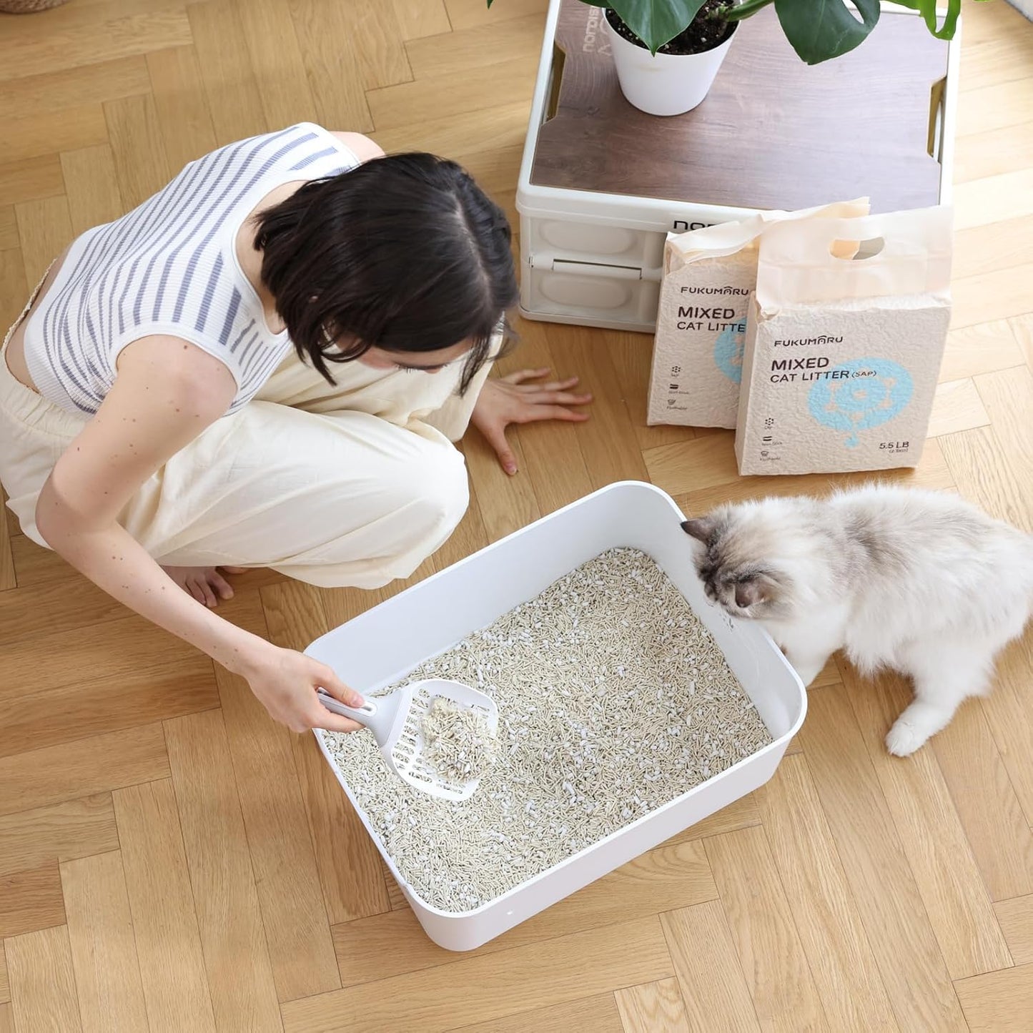 FUKUMARU Tofu Katzenstreu 10.8kg, schnell klumpendes  mit super saugfähigem Material
