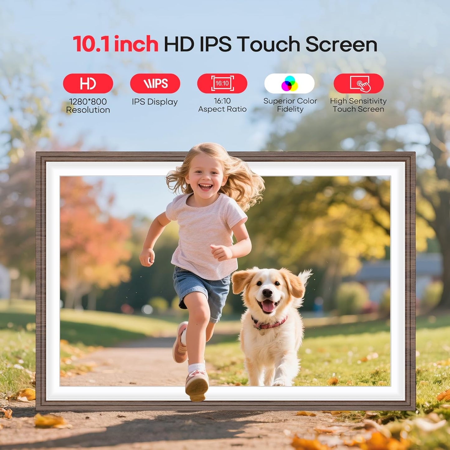 Frameo 10,1 Zoll Holz WiFi Digitaler Bilderrahmen mit 32 GB Speicher, Braun