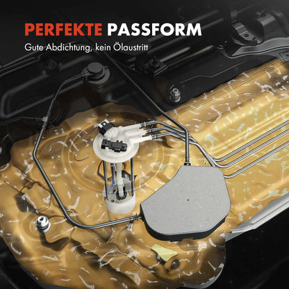 Frankberg Kraftstoffpumpe Dieselpumpe Kraftstoff-Fördereinheit Modul Satz ohne Drucksensor