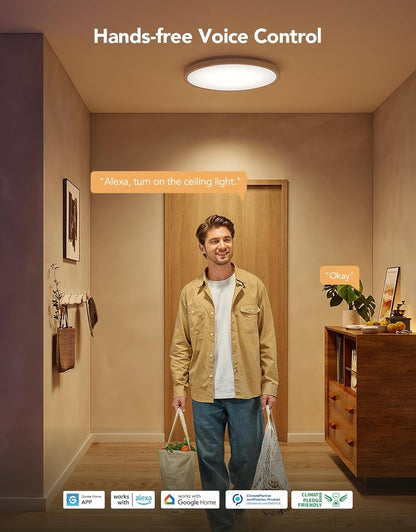 Govee Intelligente Deckenleuchte, RGBIC LED-Deckenleuchte, 2400 lm,16 Millionen DIY-Farben