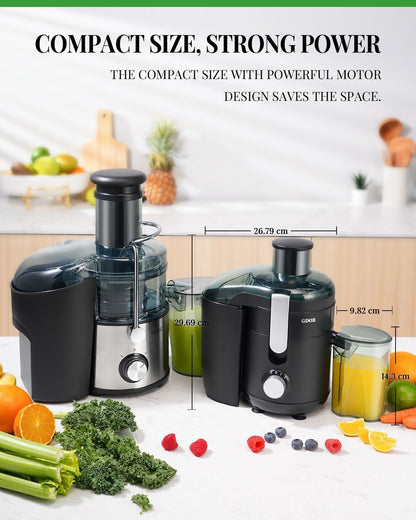 GDOR Entsafter, 600 W Entsaftermaschinen mit 65 mm Einfüllschacht für Obst und Gemüse