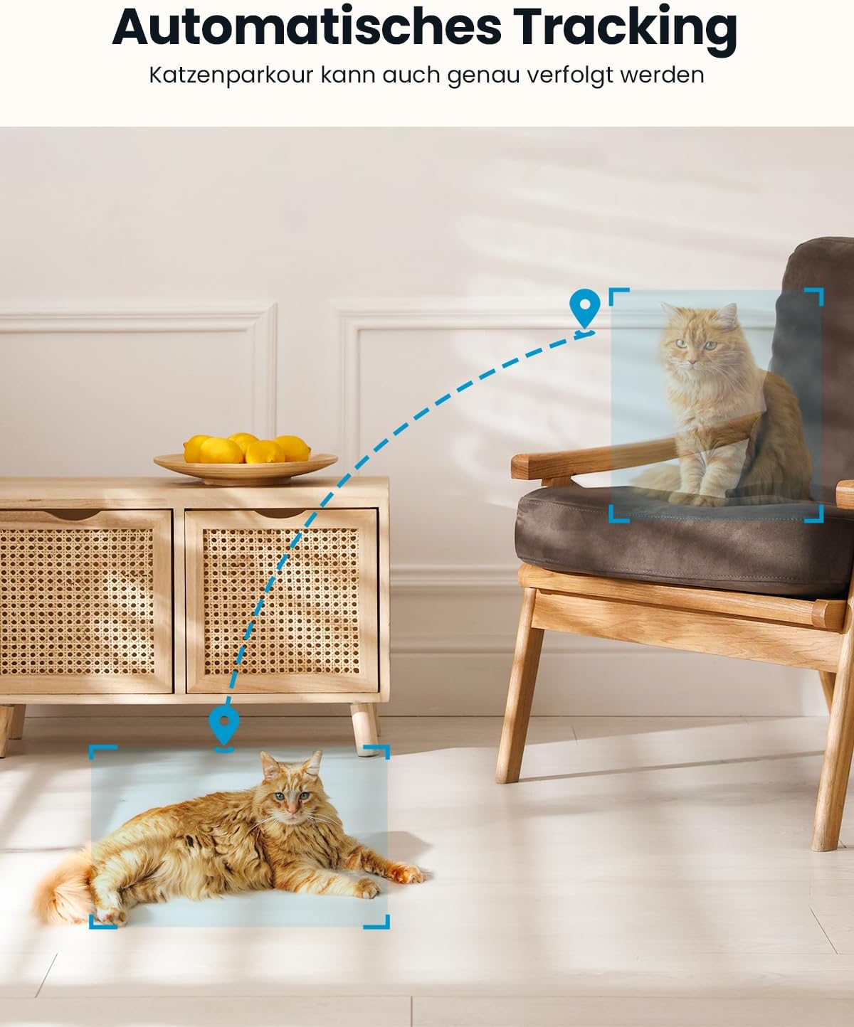 ieGeek 2K 360° WLAN Überwachungskamera , 2,4/5 GHz Hundekamera mit APP(2 Stück)