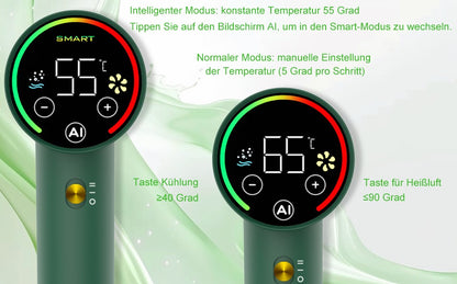 Jecatiy Haartrockner, Föhn, Ionen Zwei Modi Touchscreen Temperaturfunktion und 2 Luftstromstufen Grün