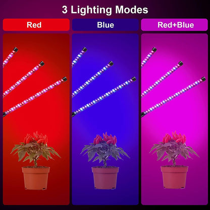 Plafonnier LED LEBANDWIT pour Zimmerpflanzen, éclairage à spectre complet avec 3 fonctions de minuterie 3H/9H/12H, 5 lumières dimmables, lampe de visualisation UV 27W 36LEDs (3 pièces)