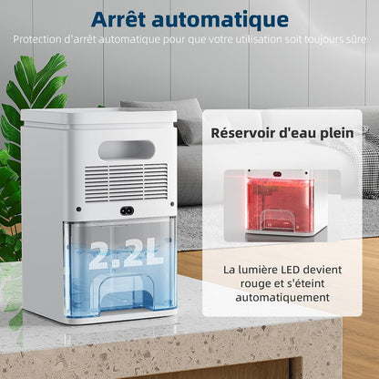 HY25 Luftentfeuchter, 2,2 l, elektrisch, tragbar, automatische Abschaltung, Timer 6/8/10 Stunden