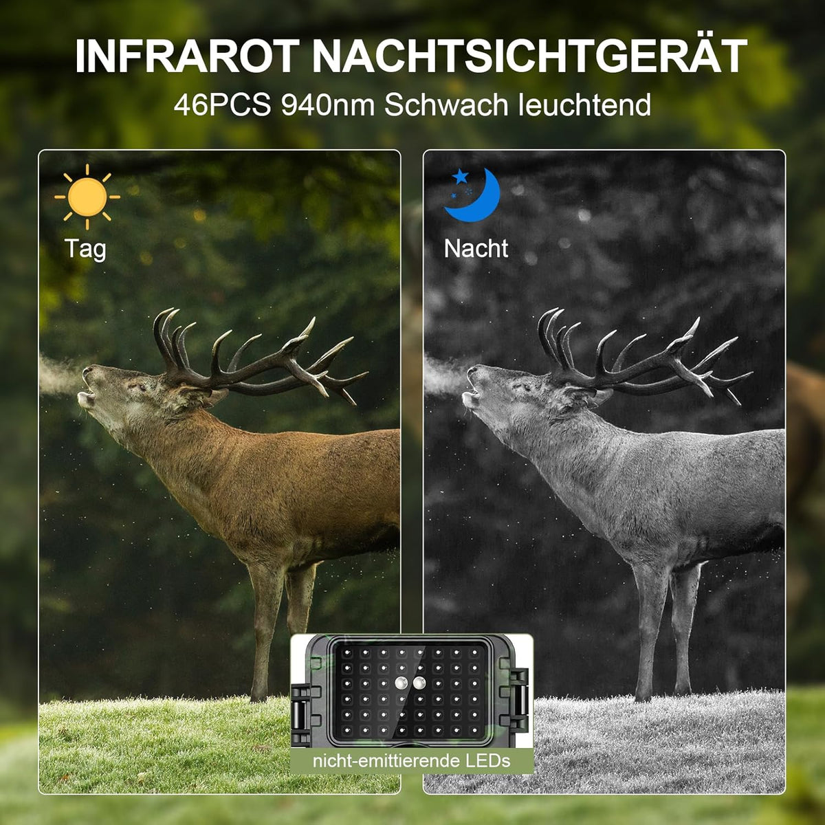 Lutranstra Wildkamera, 4K Video, 60MP, WLAN mit Handyübertragung APP, Bewegungssensor